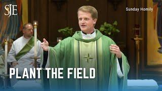 Sunday Homily | Plant the Field | Fr. Declan McNicholas