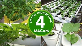 4 Sistem Hidroponik yang WAJIB Kamu Tahu!! | 4 System of Hydroponics