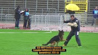 2017 SV BSZS in Ulm TSB part 85 V75 Lacky v. Amasis