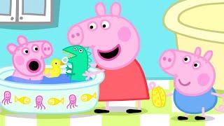 Peppa Pig Meets the BABY  | Peppa & George: Baby Adventures  | Full Episodes | 20 Minutes