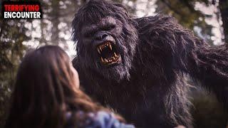 5 Terrifying Bigfoot Encounters That Will Leave You Speechless