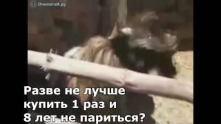 Обычный разговор консольщика и пекаря