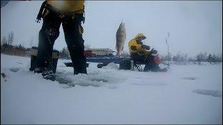 Окунь на железо и мормышку. Рыбалка на Финском заливе