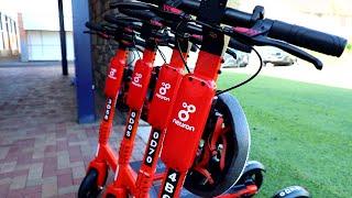 Neuron e-scooters in Bundaberg and Bargara