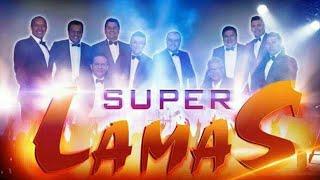 Los Super Lamas // Mix 2022 // joyitas De Oró //