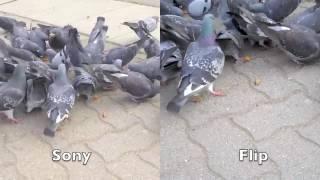 Sony Bloggie Touch vs Flip UltraHD