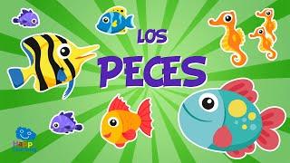 Los Peces   | Vídeos Educativos para Niños