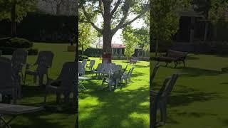 Nature's Heaven  #nature #viral #shorts #youtubeshorts #subscribe