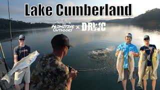 Lake Cumberland Striper Fishing