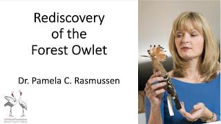 Delhibird Talks: Rediscovery of the Forest Owlet (Pamela C. Rasmussen)