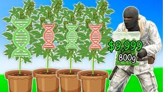 I Splice New SUPER Seeds For BIG CASH on Gmod DarkRP EP9