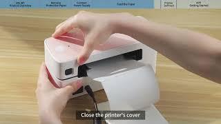 Phomemo PM-241BT Tutorial: How to Load Paper to Label Printer 241BT丨Setup Instruction Manual