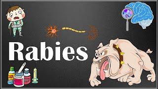 Rabies : Pathophysiology, Signs & Symptoms, Diagnosis & Management (Pre & post exposure prophylaxis)