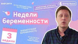 3 неделя беременности - что происходит с плодом, внематочная беременность, изменение аппетита, ХГЧ