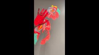 VENTRIX Stealth Framing Projector | WAC Lighting Dallas Market | Commercial Lighting