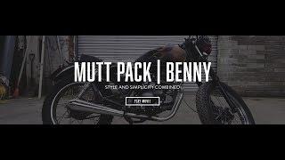 Mutt Pack | Benny