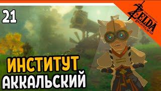 НАШЕЛ АККАЛЬСКИЙ ИНСТИТУТ  The Legend of Zelda Breath of The Wild (Легенда о Зельде)