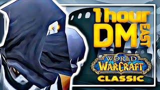 Classic WoW - 1 hour with Frost - DM East with Rogue.