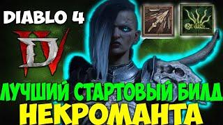 Diablo 4 Лучший Стартовый Билд Некроманта. Гайд по Прокачке. Топ Билд Костяное Копьё. Топ Класс.