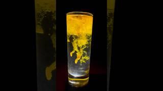 Tranding Turmeric Magic Reel #shortsvideo #shorts #trandingshorts #turmericmagic