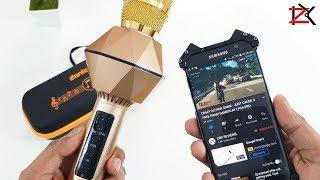 FUN Mic With A Speaker | Denicer Karaoke Bluetooth Microphone | Mic Voice Changer