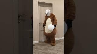 Funny dogs playing white balloon, Arsenii Boy channel