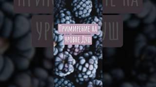 Примирение на уровне Душ. Простой метод | #целитель #энерготерапевт #душа #примирение #Shorts #Short