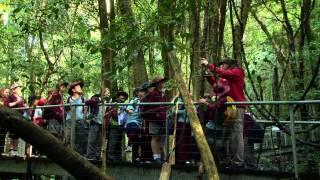 Scenic World - Education Tours