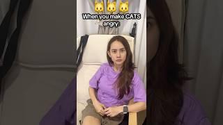 Do you like Dogs or Cats? 