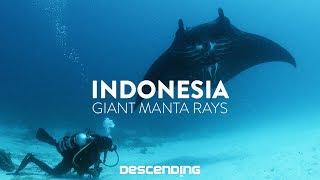 DESCENDING 4K | S1 E12 | The Giant Manta Rays