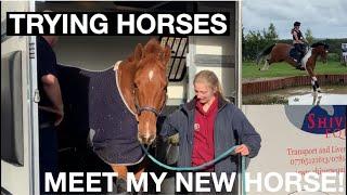 Trying horses and meet my new horse!