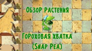 Обзор Гороховой хватки (Snap Pea), растение из Plants vs Zombies 2