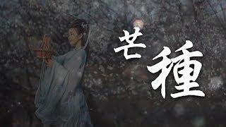 芒種 趙方婧  【完整MV】/Everything is causal /Mang zhong/chinese dance/Chinese elegant classical woman