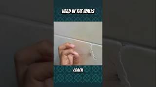 is there a head in my wall¿ #science #movie #curiosity #weird #strange