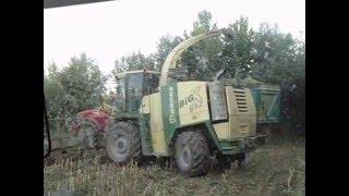 CEROSO 2011 CON KRONE BIG X V12 A 10 FILE