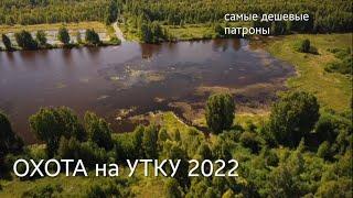 ОХОТА на УТКУ | утки НЕТ | проверка ДЕШЁВЫХ ПАТРОНОВ | Dji  #охота2022