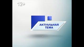 Актуальная тема: как правильно собирать грибы