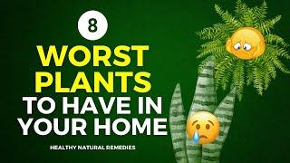 8 Worst Plants To Have In Your Home