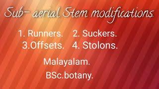 Sub- aerialstem modifications -Runners,Suckers,Offsets, Stolons.BSc.Botany