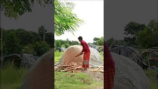 Fake Big Cobra Snakel Prank Part 4 #Emtiaz Bhuyan#Shorts