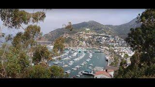 Catalina Island (Walkthrough) In Long Beach, California