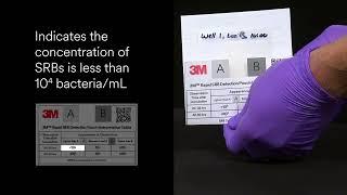 3M™ Rapid SRB Detection Pouch Interpretation