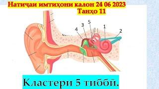 24 06 2023. Натиҷаи имтиҳони калони охирон. Довталаб 2023. Кластери 5 тиббӣ