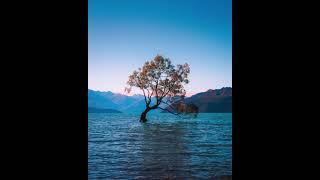 Short Yoga Nidra to Remember #yogicsleep #yoganidra #relaxation