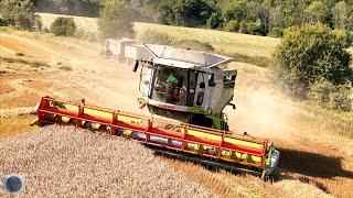  CLAAS Lexion 750 TerraTrac harvesting grain in Germany [4K]