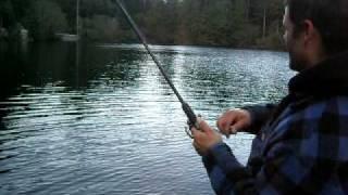 rainbow trout browning lake