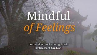 Mindful of Feelings | Immersive Meditation Guided by Brother Phap Linh