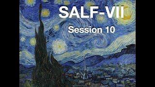 SALF-VII Session10 - Instruments and Surveys (Chair: Annalisa Bonafede)