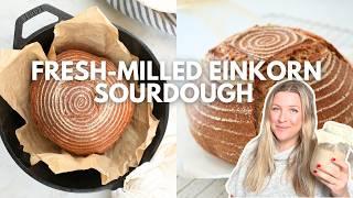 The World’s Oldest Grain: FRESH-MILLED EINKORN SOURDOUGH BREAD RECIPE