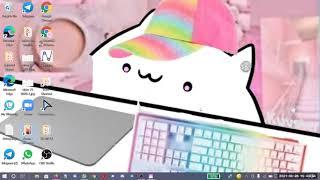 How to use bongo cat as your virtual camera on zoom